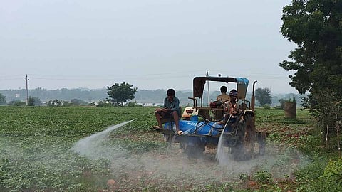 कीटनाशक (Insecticides) क्या होते है ?परिभाषा, प्रकार और महत्त्व