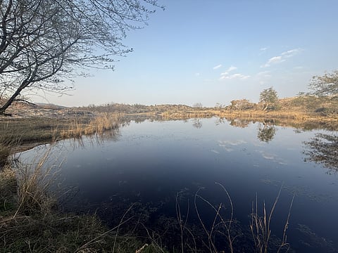 गांव के आसपास बने एनीकट, छोटे बांध और वर्षाजल संचयन ढांचों ने न केवल भूजल स्तर में सुधार किया है, बल्कि खेती, पशुपालन और स्थानीय पारिस्थितिकी पर भी असर डाला है।