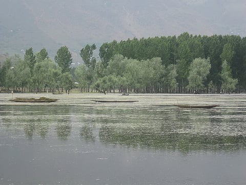 कश्मीर की झीलें सिर्फ पानी का स्रोत नहीं हैं। ये यहाँ के लोगों की ज़िंदगी, आजीविका और स्थानीय संस्कृति का अहम हिस्सा रही हैं।