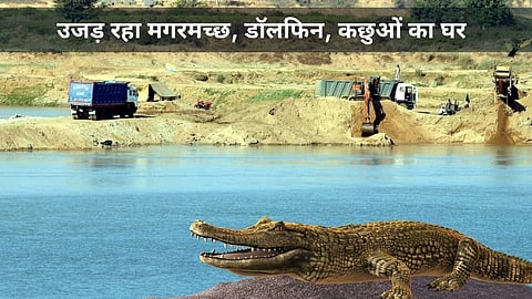 सोनभद्र: सोन नदी में रेत खनन से खतरे में डॉल्फिन, कछुए और मगरमच्छ