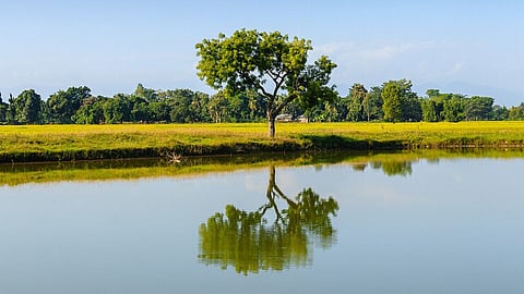 प्राकृतिक संसाधनों का दुरुपयोग और संरक्षण के विभिन्न प्रयास