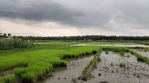 El Niño, कमजोर मानसून और खरीफ की खेती: बारिश की कमी से आगे पानी का सवाल