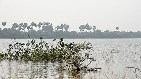मामल्लन जलाशय: चेन्नई की जल सुरक्षा और प्राकृतिक आर्द्रभूमि के बीच क्या सवाल हैं?
