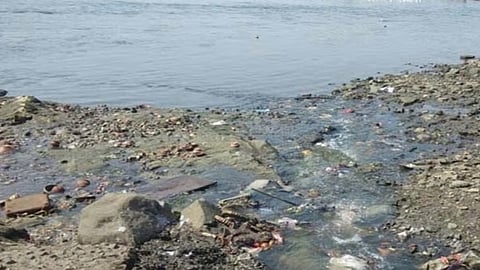 बे-पानी बड़वानी के पड़ोस में सूखती नर्मदा,pc-Zeenews