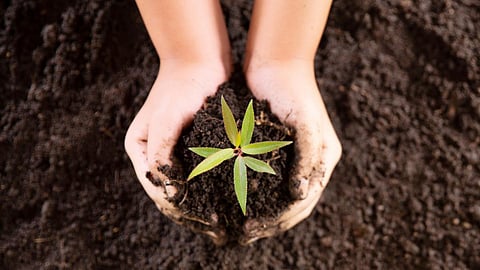 मृदा आर्द्रता संवेदक का गुरुत्वाकर्षण प्रणाली के साथ निष्पादन एवं मूल्यांकन,PC-db