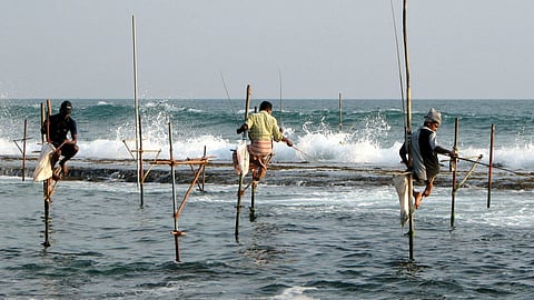 मत्स्यपालन प्रबंधन में समुदाय की भागीदारी,फोटो क्रेडिट: - WIKIPEDIA