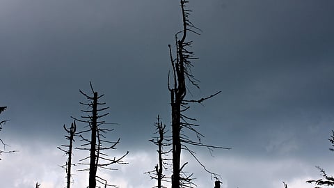 अम्लीय वर्षा का प्रभाव,फोटो क्रेडिट- IWP Flicker