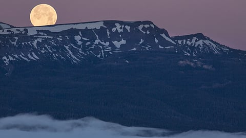 मानसून सत्र की शुरुआत में आफत की बारिश, जलवायु परिवर्तन के कारण,फोटो क्रेडिट:-IWP Flicker