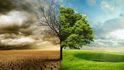 जलवायु अनुकूल वर्षा आधारित कृषि,फोटो क्रेडिट-IWP flicker