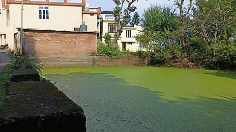 पर्यावरण के प्रति जागरूक होने की आवश्यकता,फोटो क्रेडिट - चरखा फीचर