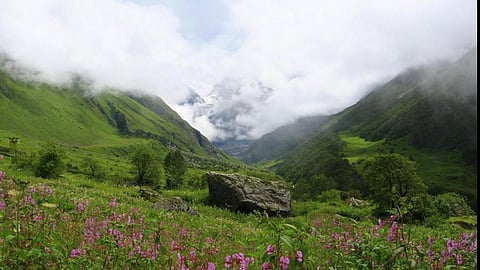 जलवायु परिवर्तन एवं जलवायु चुस्त कृषि,फोटो क्रेडिट-wikipedia