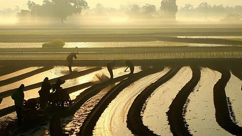खेती-बाड़ी का तौर-तरीका