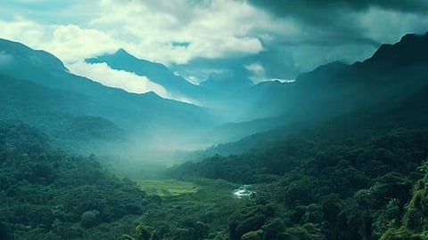 मिट्टी की जैव विविधता से मिट्टी की सेहत