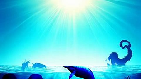 महासागर,असीम जैवविविधता पर जलवायु परिवर्तन का प्रभाव