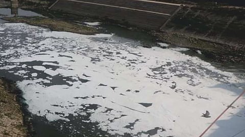 कारखानों के रसायनों से मिलकर झाग-झाग हुआ वरुणा का पानी, PC-– सर्वोदय जगत