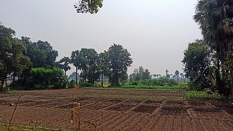 सिंचाई के बिना प्रभावित होती कृषि