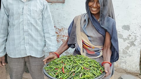 तीखी हरी मीर्च ने लाया महिलाओ के जीवन में मिठास