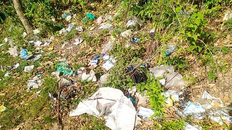 हरे-भरे गांव में फैल रही गंदगी,फोटो-चरखा फीचर