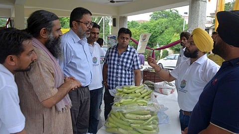 पंजाब-खेती विरासत मिशन