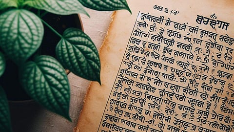 प्रकृति-संरक्षण पर वैदिक दृष्टिकोण