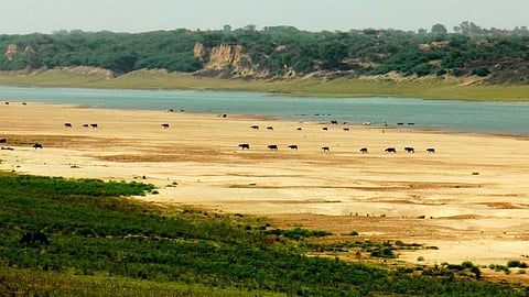 चंबल नदी में भयानक रूप से गिर रहा जलस्तर