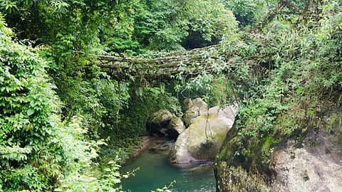 (छवि: अश्विन कुमार, विकिमीडिया कॉमन्स)