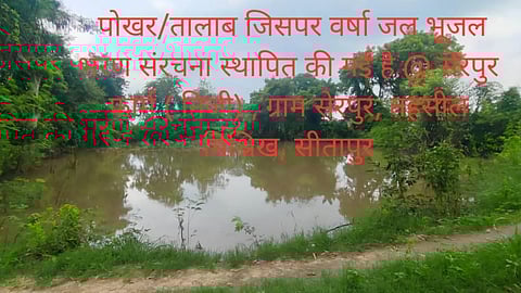 पहचानिए