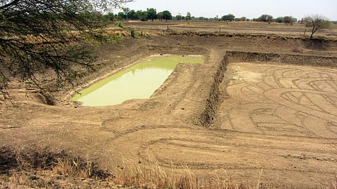 खेत तालाब (फोटो साभार - बेटर इंडिया )