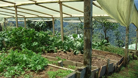जैविक खेती में ही बेहतरी छिपी है