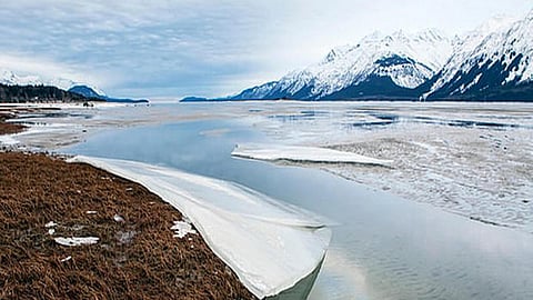 आर्कटिक