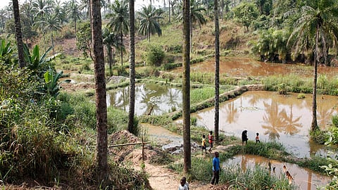 एक्वाफार्मिंग