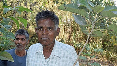 किसान बाबूलाल दाहिया