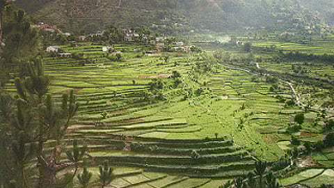 खेती में पहाड़
