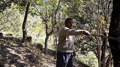 गोविन्द वल्लभ पंत