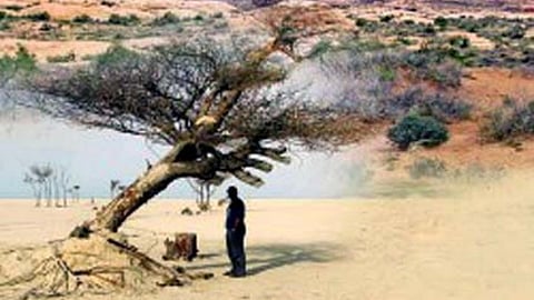 चंबल का उपजाऊ भूमि अब बंजर हो रहा है