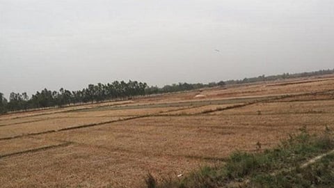 भूमि सुधार