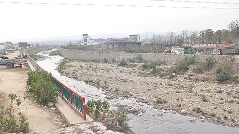 सहस्त्रधारा में वन व राजस्व विभाग का संयुक्त सर्वे