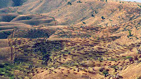 हाथिपावा पहाड़ी जो झाबुआ की तस्वीर बदल रही