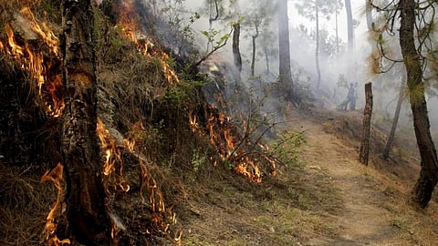 उत्तराखंड के जंगलों में आग