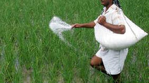 कीटनाशक से उजड़ती कृषि