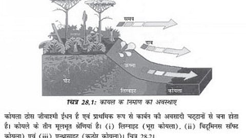 कोयले के निर्माण की अवस्थाएँ