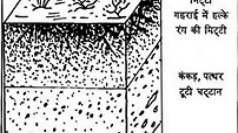 सतह के नीचे मिट्टी की बनावट