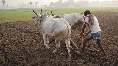 भूमि सुधार