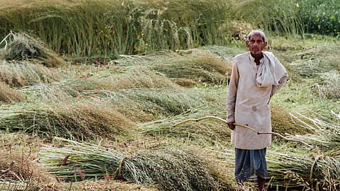 यूपी के किसानों को मिलेगी मुफ्त सिंचाई सुविधा,फोटो- flickerIndiawaterportal