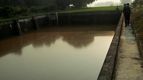 कृषि वानिकी