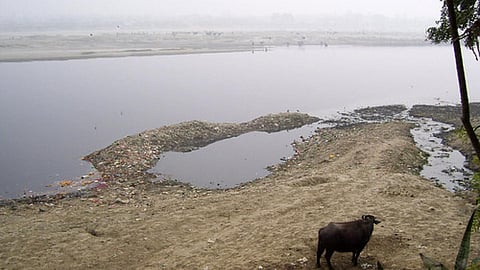 विफल रहा सफाई अभियान और ज्यादा मैली हुई यमुना