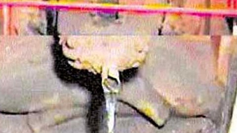 गंगाजी करती हैं शिवलिंग पर जलाभिषेक