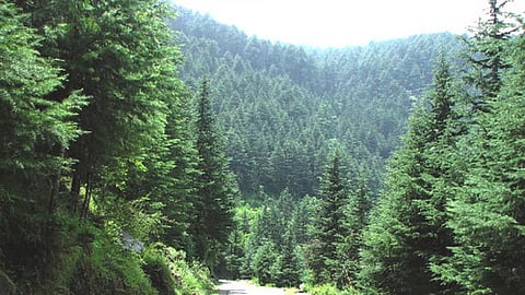 भारत के वन क्षेत्रों की स्थिति