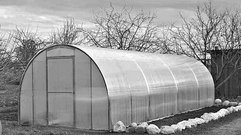 पॉली हाउस में सब्जियों का उत्पादन