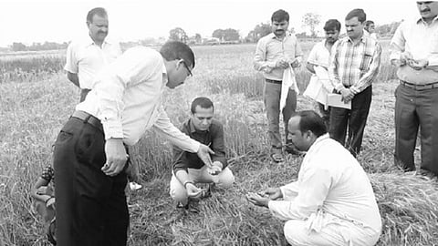 किसान बर्बाद, जिला प्रशासन कर रहा सर्वे